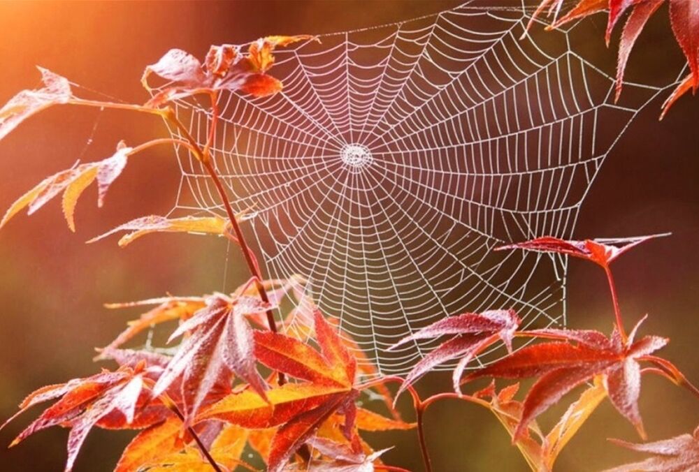 Климатологи сделали неожиданный прогноз погоды в Украине на сентябрь