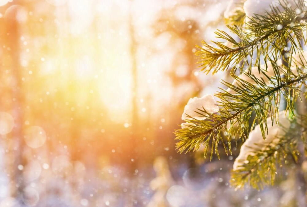 Прогноз погоди в Україні: в які регіони повернеться сонце