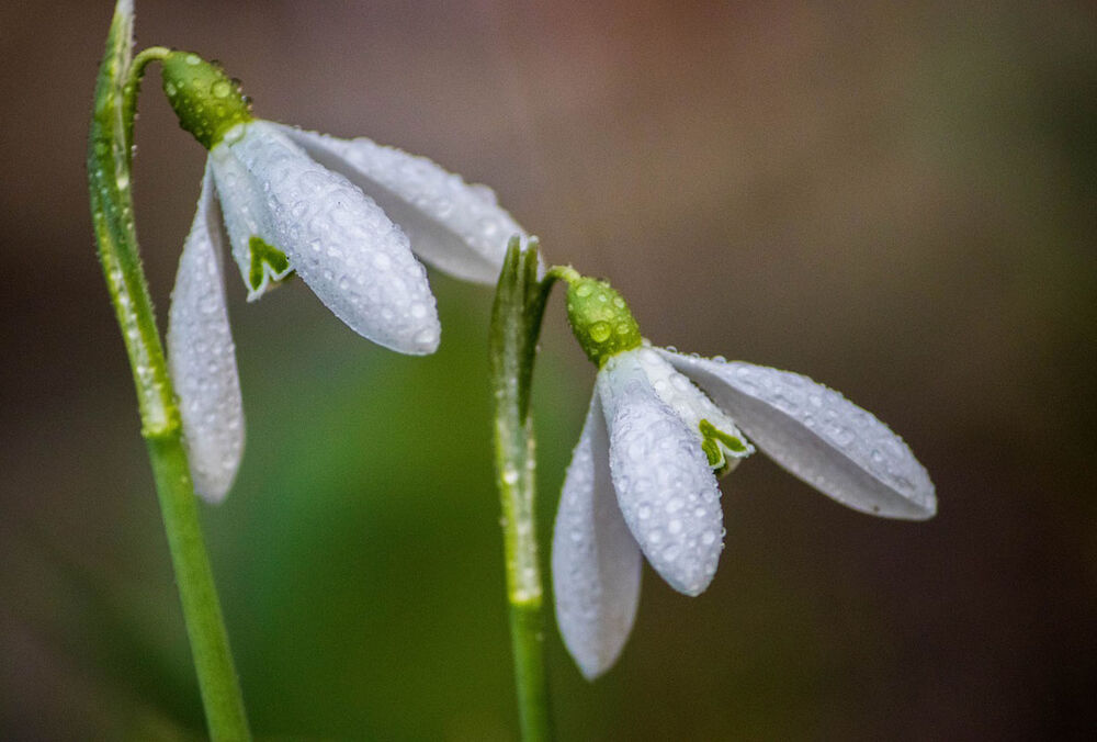 Погода 8 марта: кого прогноз порадует солнцем Погода 8 марта: кого прогноз порадует солнцем