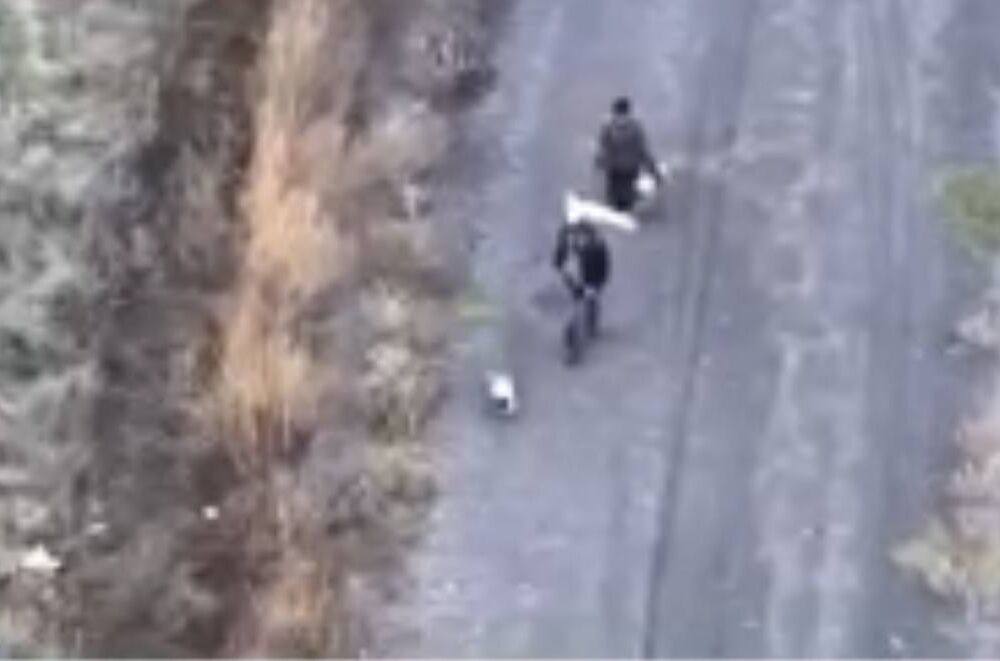 В Харьковской области россияне убили двух гражданских, которые шли вместе с собакой, подняв белый флаг