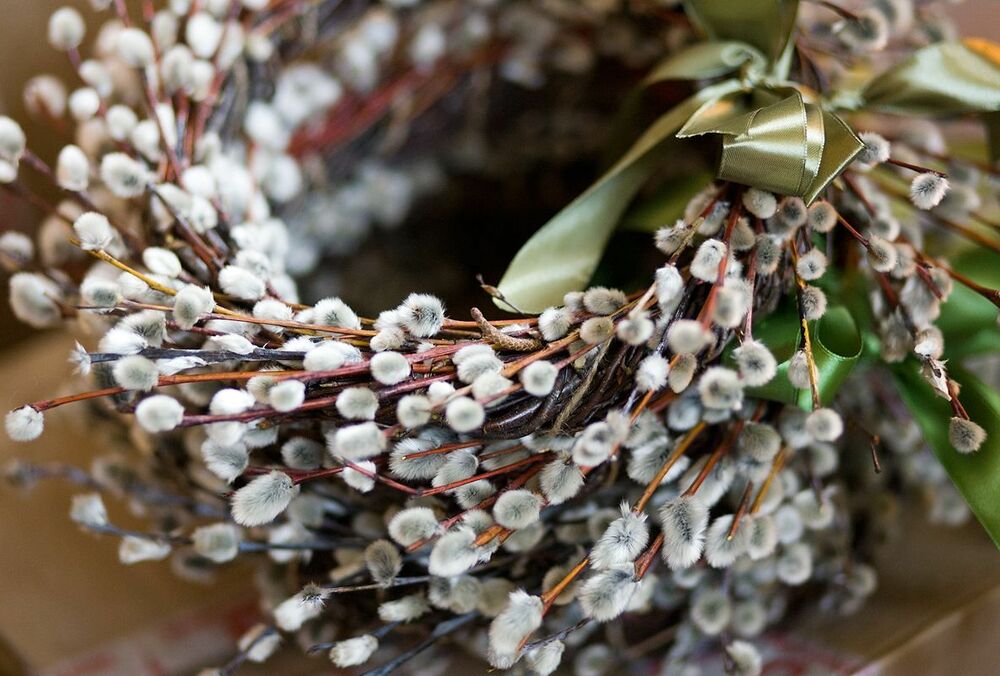 Вербное воскресенье: когда празднуют в 2024 году и что запрещено