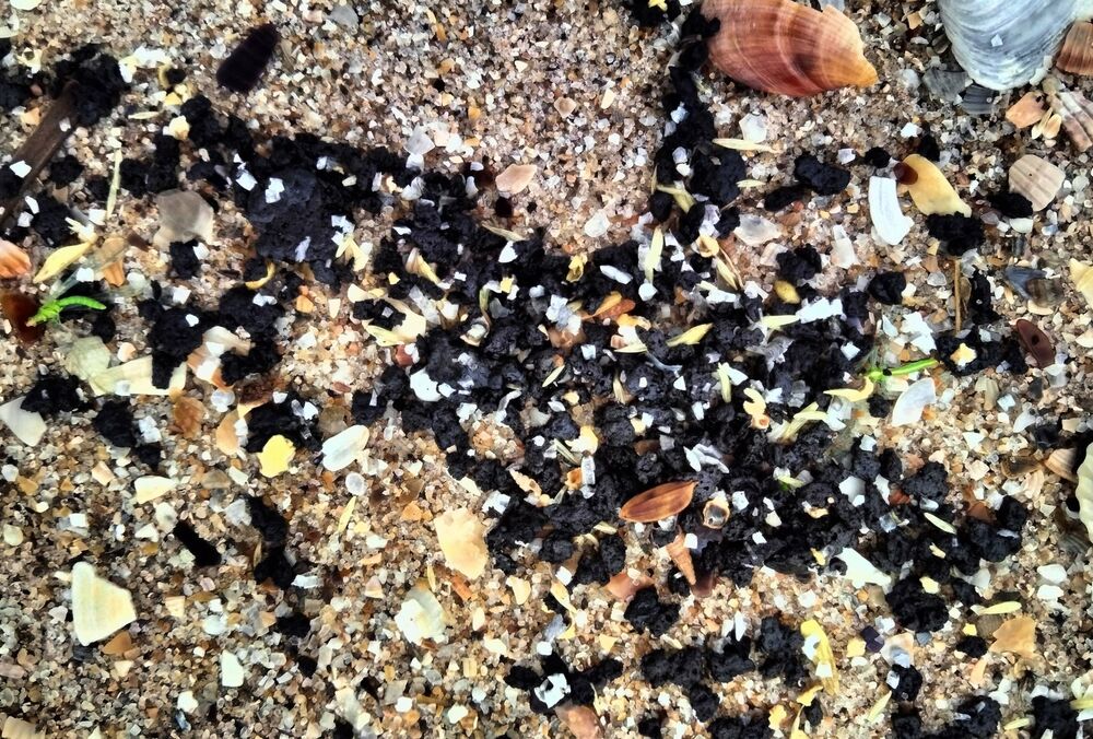 На побережье Одесской области собрали мазут из затонувших российских танкеров