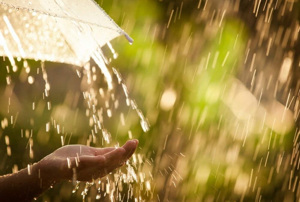 Погода в Україні: де сьогодні очікуються дощі