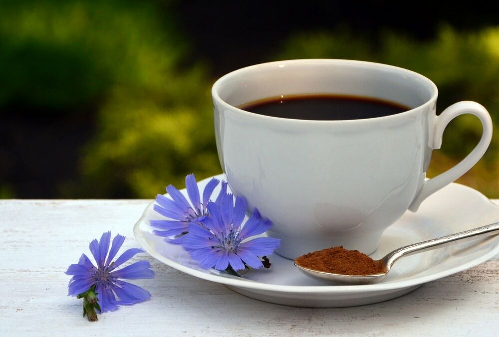 Цикорий или кофе: чем отличаются и какой напиток считается полезнее