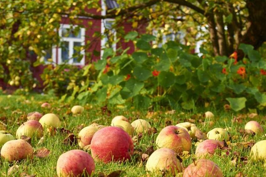 Лето близится к завершению: синоптик предупредила о резком похолодании в Украине