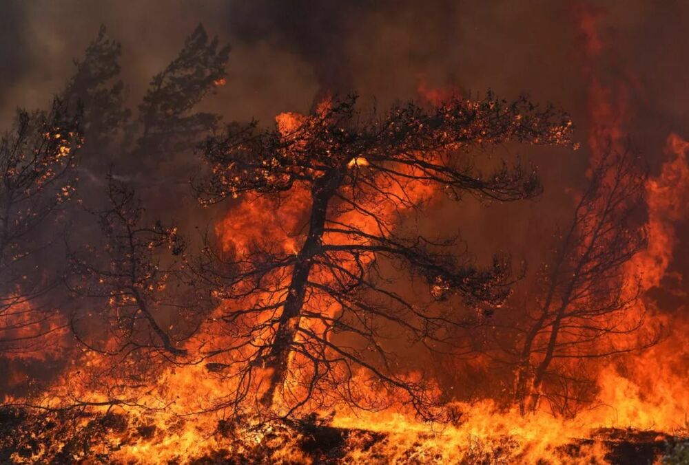 Лесные пожары: Греция занимает первое место по площади выгоревших территорий в Европе
