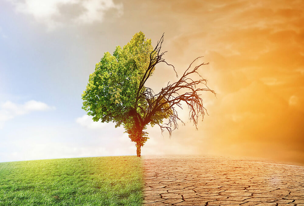 К 2100 году почти половина планеты войдет в новые климатические зоны