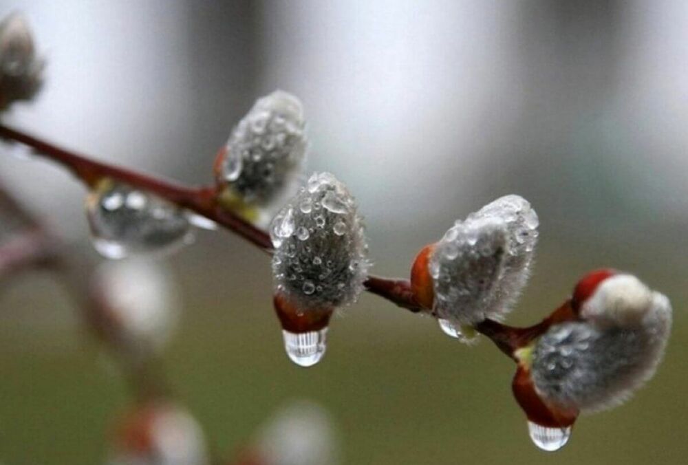 Готовим зонтики: прогноз погоды в Украине