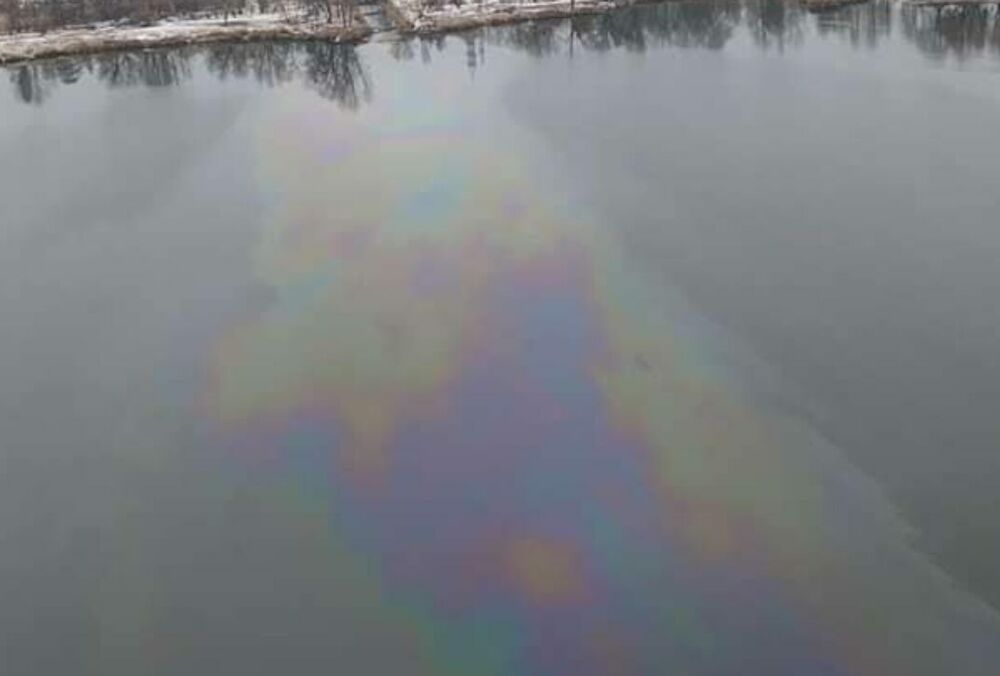 Киев оказался на грани экологической катастрофы из-за разлива нефти в озеро  Киев оказался на грани экологической катастрофы из-за разлива нефти в озеро