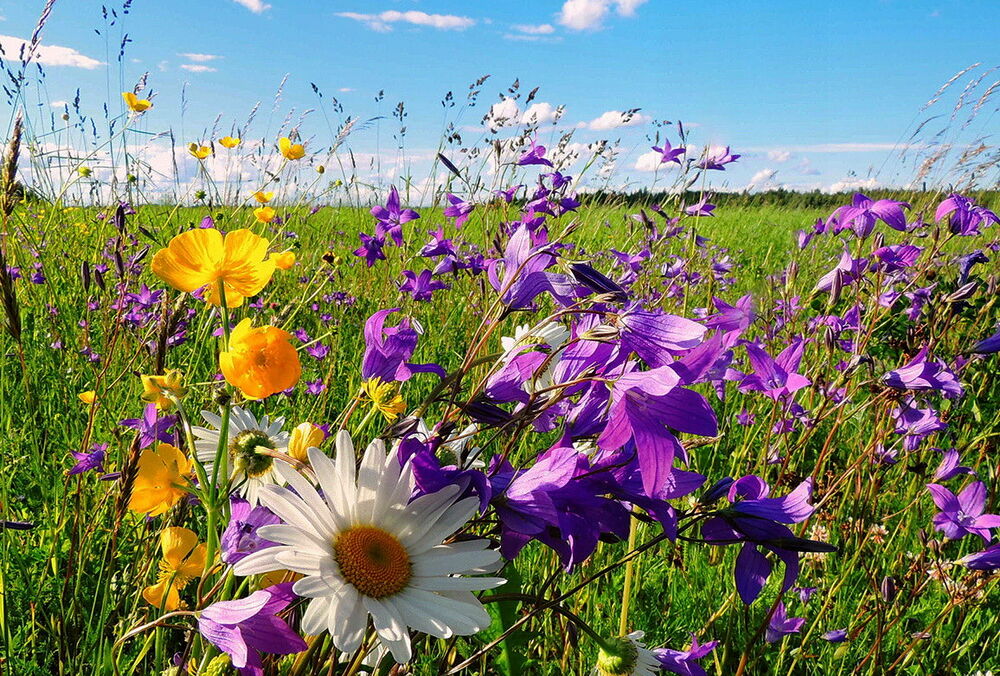 Температура опускається: прогноз погоди в Україні