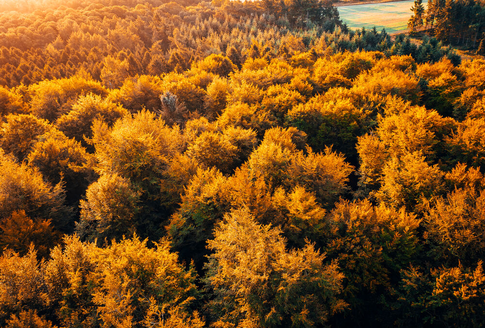 В Украине похолодает еще больше: прогноз Украинского гидрометцентра В Украине похолодает еще больше: прогноз Украинского гидрометцентра