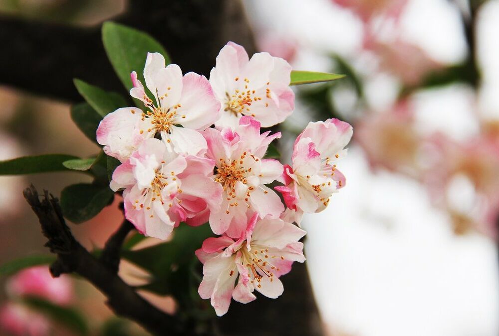 Синоптик попередила про похолодання в травні