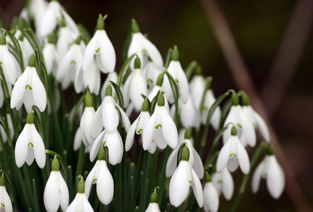 Попередження синоптиків: в Україні знову зіпсується погода