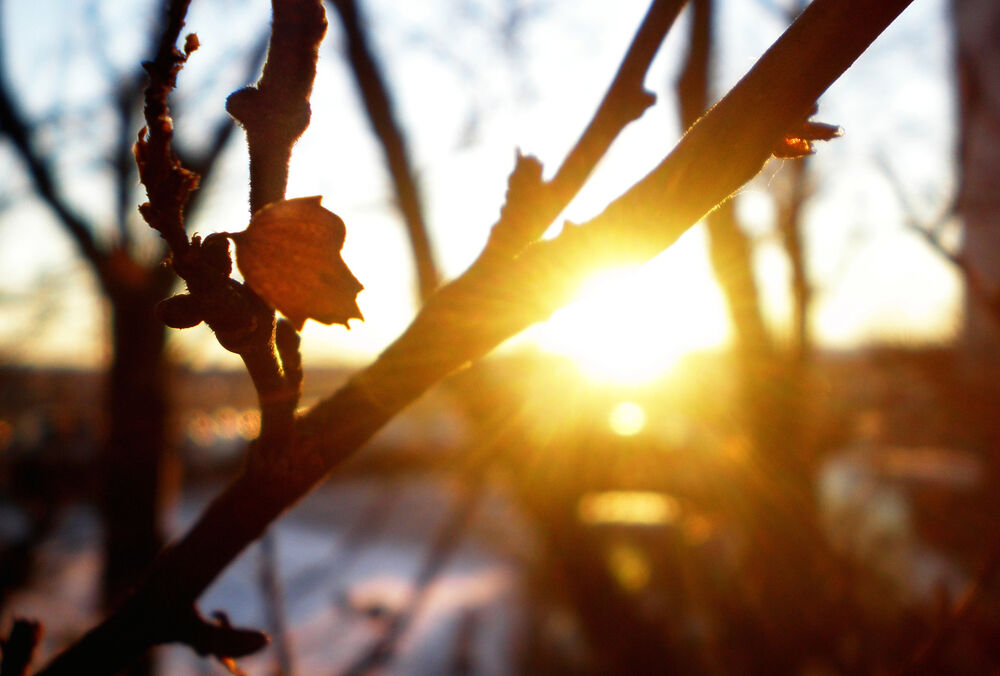 Весна в лютому: прогноз погоди в Україні