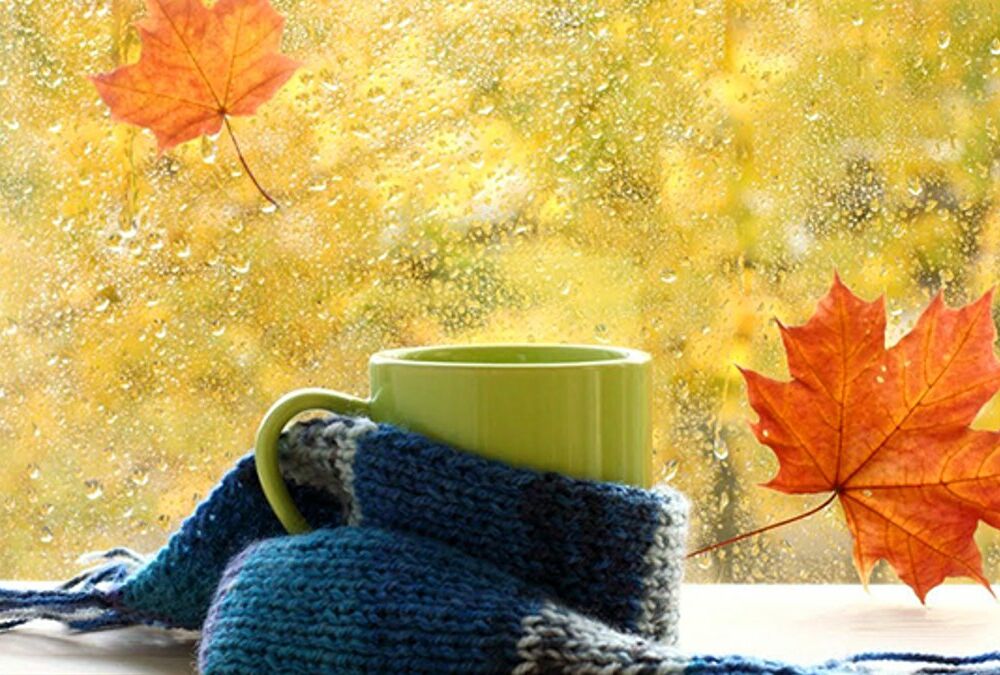 Прогноз погоди: в Україну йдуть дощі