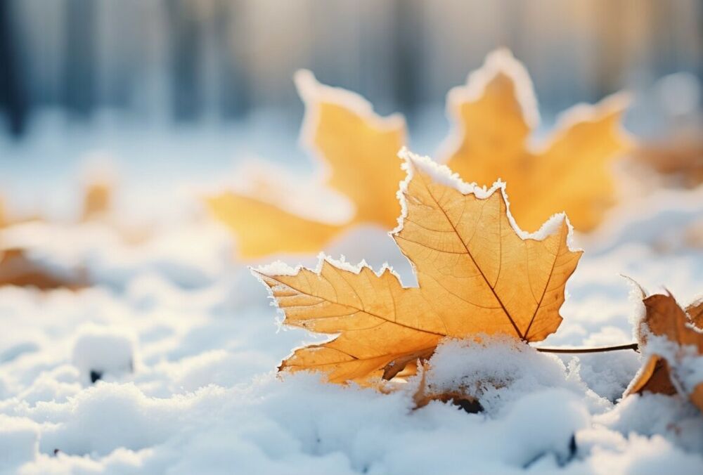 Синоптик попередила українців про мокрий сніг та сильний вітер