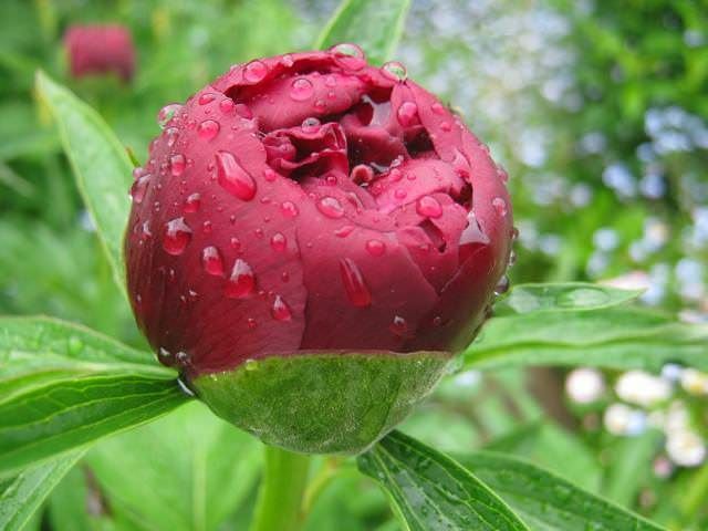 Прогноз негоди: в Україні посилюються дощі