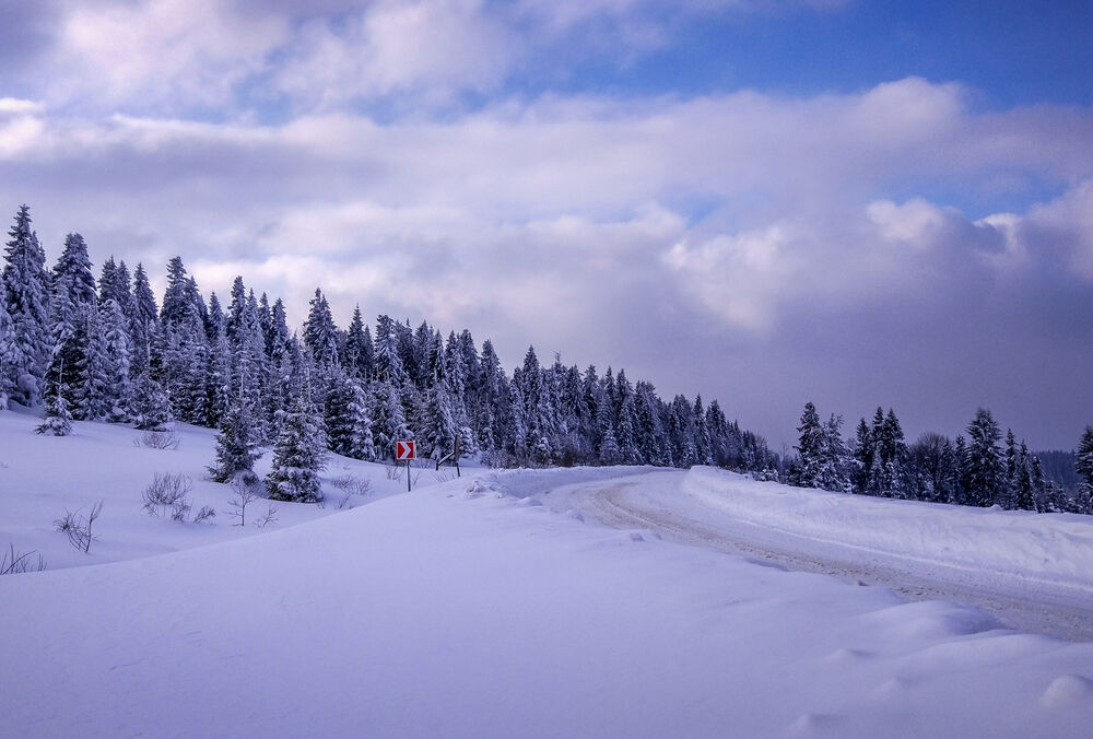 Прогноз погоди: хто опиниться в полоні снігопадів