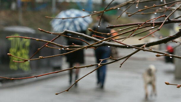 Погода в Україні: де тиждень почнеться з дощів