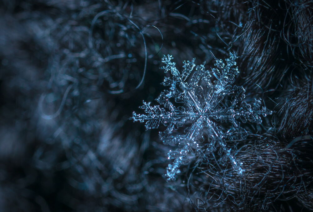 Прогноз погоды: когда в Украине пойдет снег