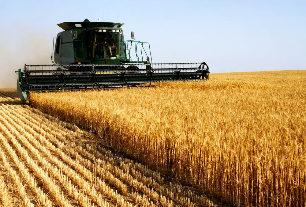 15 ноября отмечаем День работников сельского хозяйства