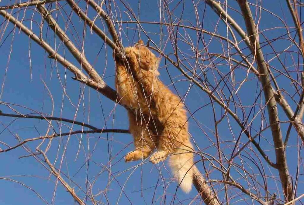 Прогноз для України: погода радує теплом