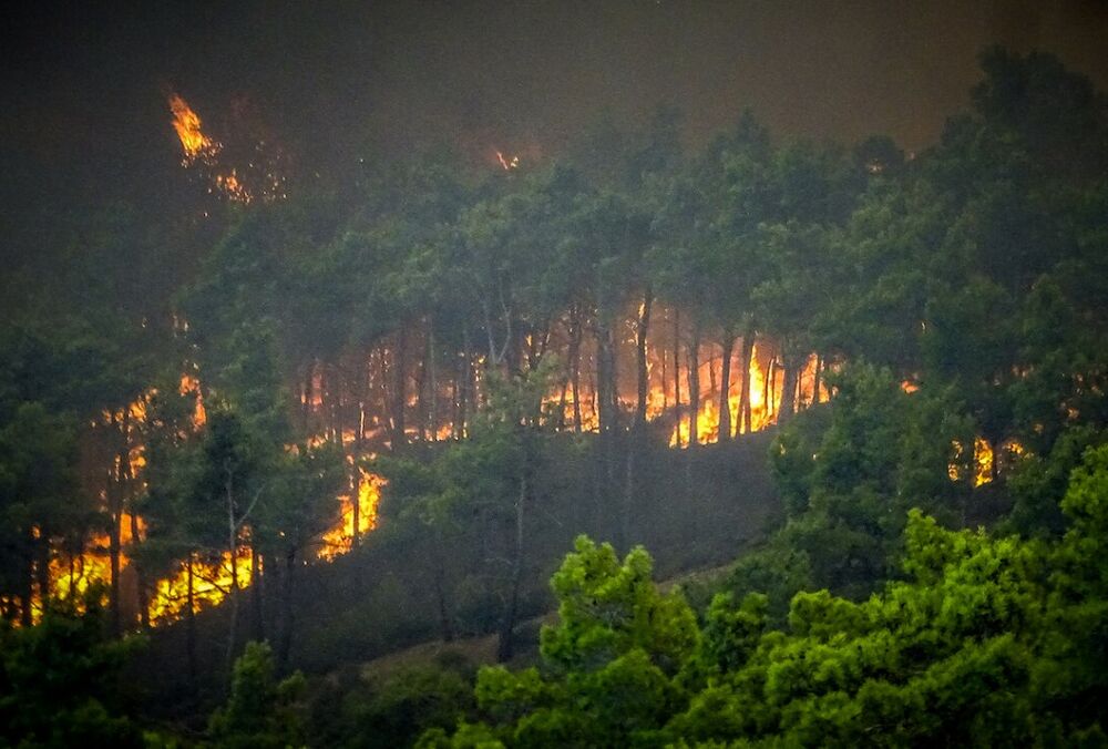 На грецькому Родосі оголосили надзвичайний стан через лісові пожежі