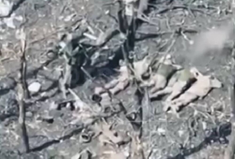 Росіяни розстріляли п'ятьох українських військовополонених