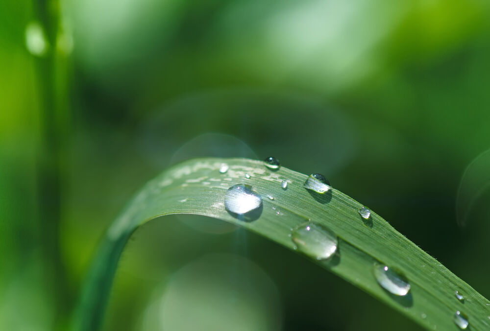 Прогноз погоди в Україні: де пройдуть дощі