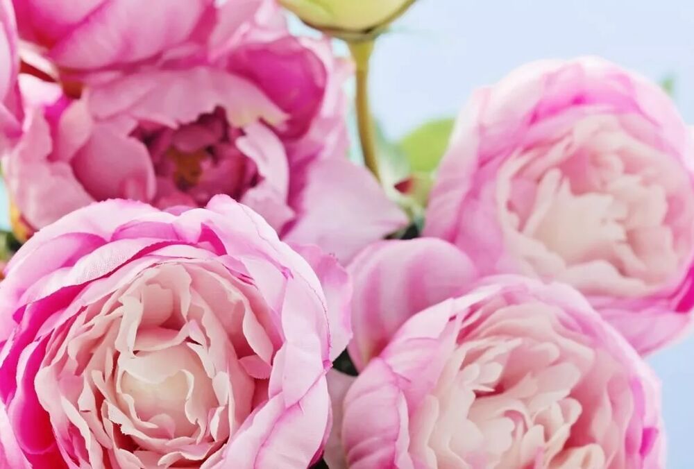 День святого Валентина: лучшие поздравления на 14 февраля