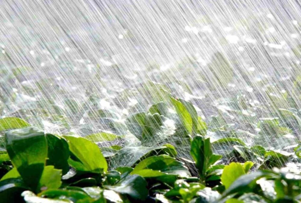 Украину сегодня будут заливать дожди