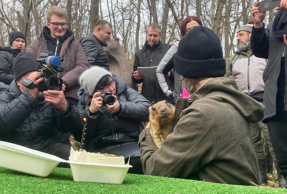 Сурок Тимка дал прогноз, когда в Украину придет весна Сурок Тимка дал прогноз, когда в Украину придет весна