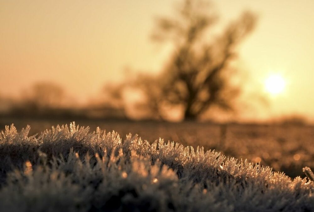 За два дні до Нового року Україну накрило потепління