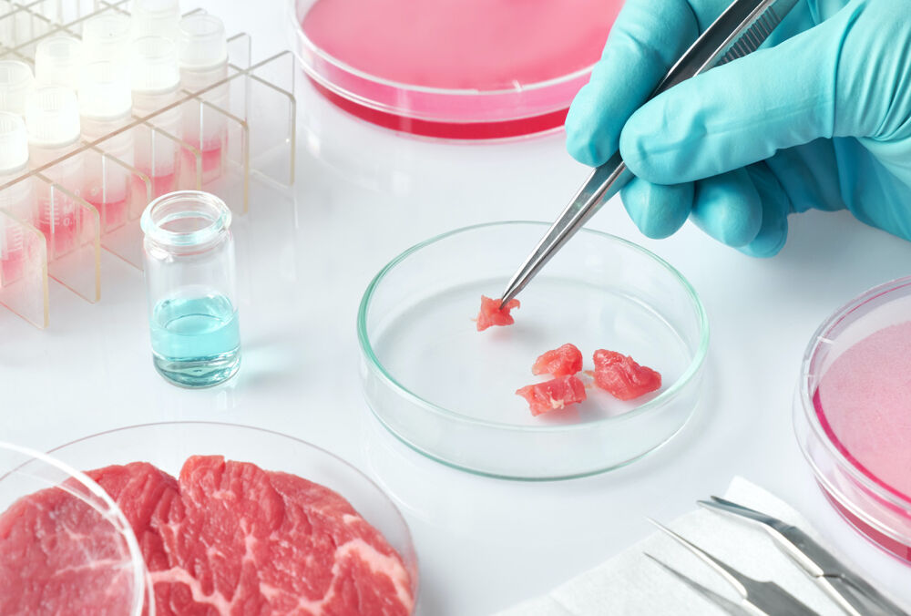 Безос і Гейтс інвестували в м'ясо і молочні продукти вирощені з грибів