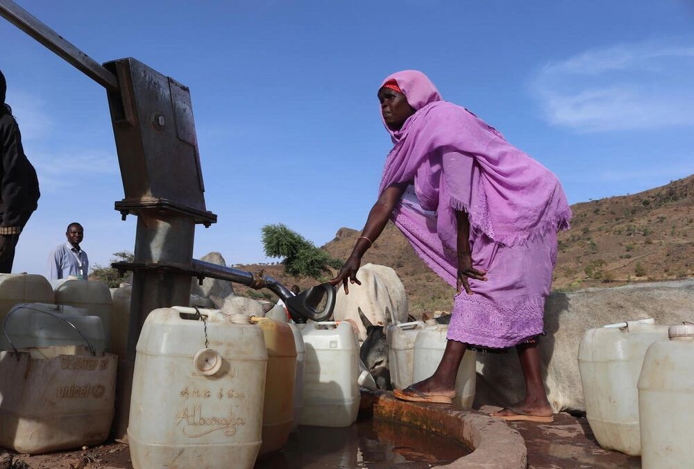 В 2024 году в мире зафиксированы рекордные показатели глобального голода, - ООН