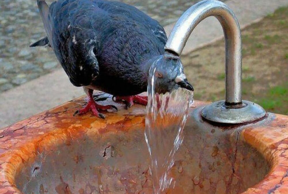 Погода в Україні: де спека посилиться ще більше