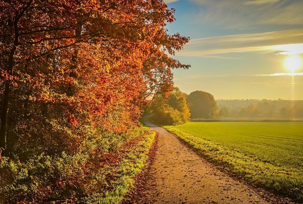 Температура выше нормы: синоптики рассказали, какой будет погода в октябре 