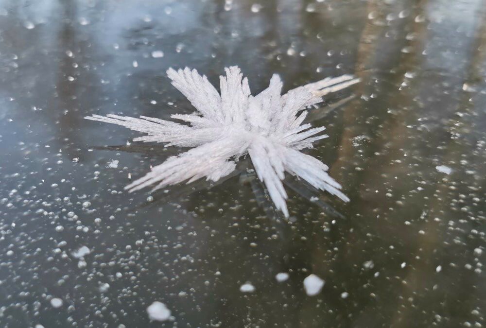 Погода в Украине: что ждет нас в первый день зимы