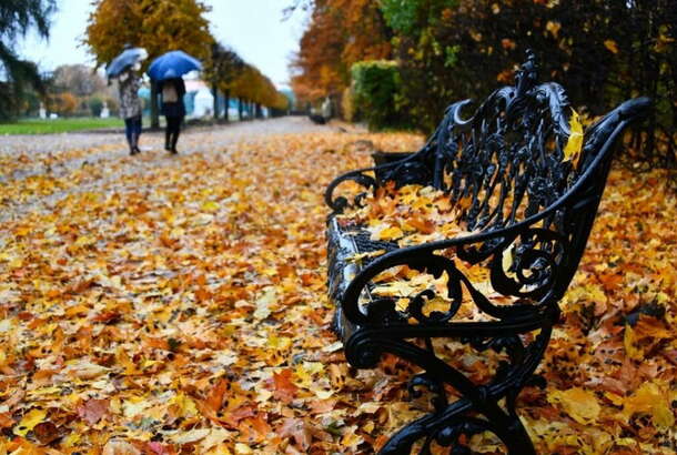 Прогноз погоды на выходные: где пройдут дожди