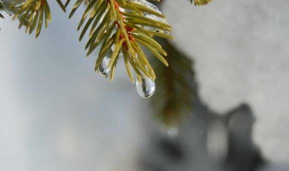 Прогноз погоди: в Україну повернулося тепло