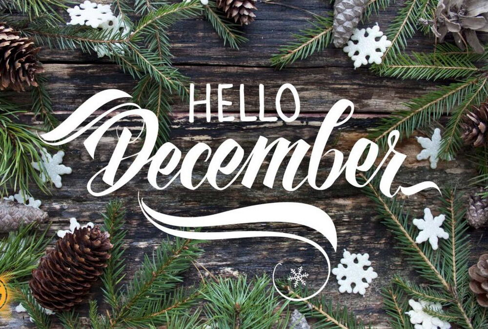 Новые правила бронирования и отсрочек, повышение налогов и ”тысяча Зеленского”: что изменится в декабре