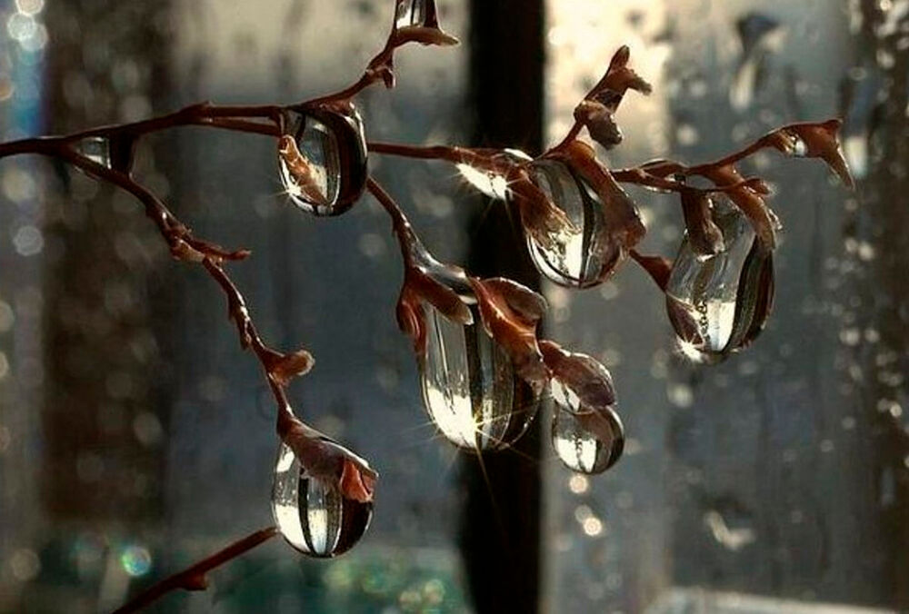 Прогноз погоди: в Україні пройдуть дощі