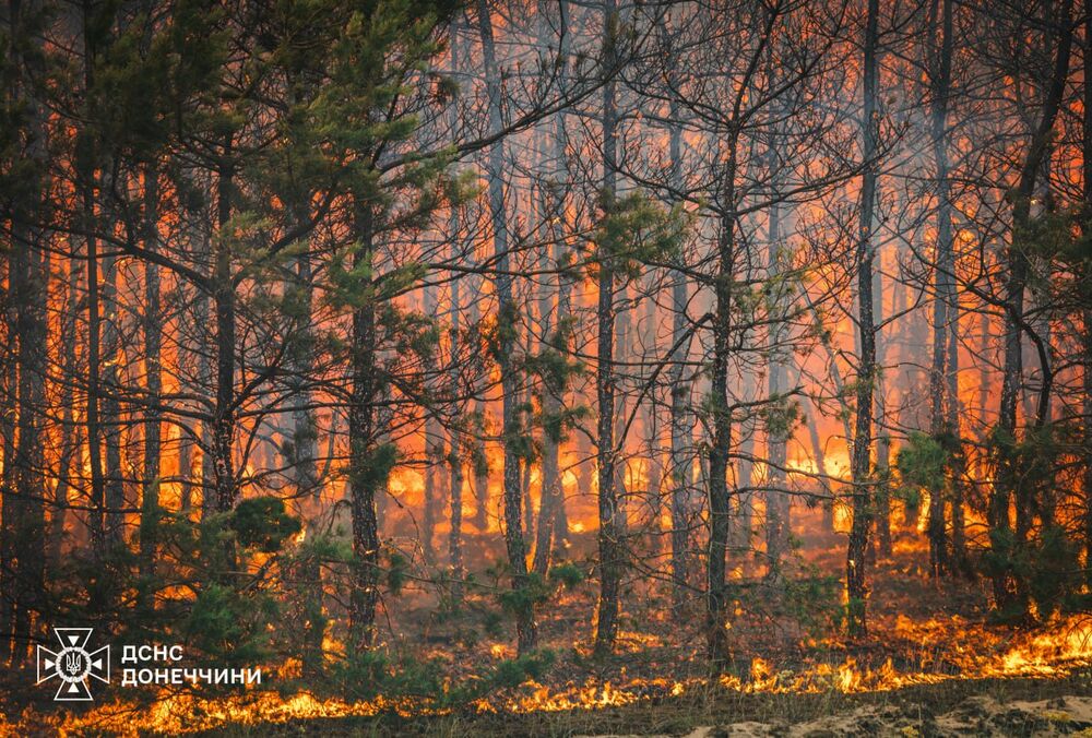 На Донеччині ліквідували масштабну лісову пожежу