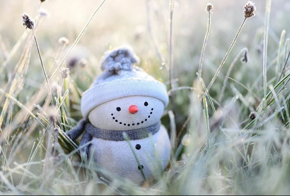 Какой будет погода в Украине зимой