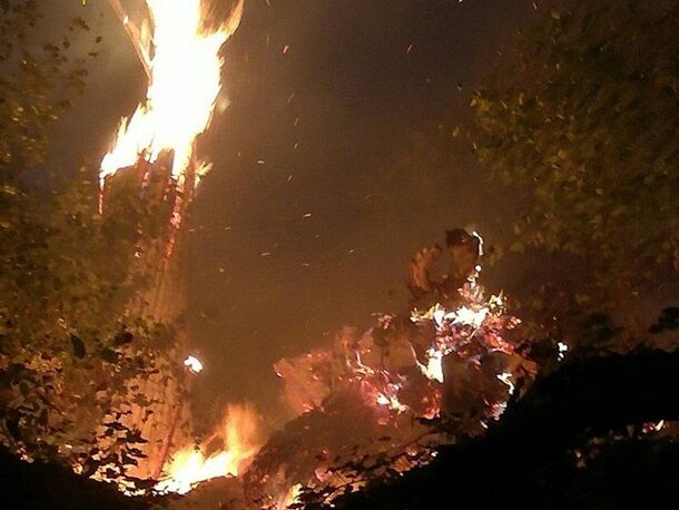 На границе со Словакией вспыхнул лесной пожар
