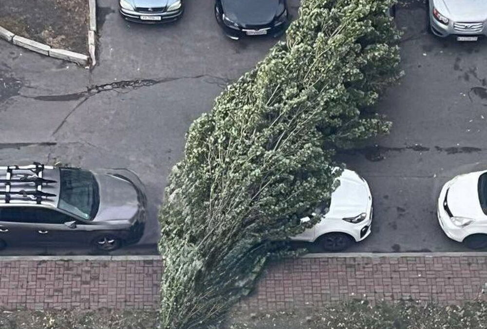 У Києві через сильний вітер загинули двоє людей