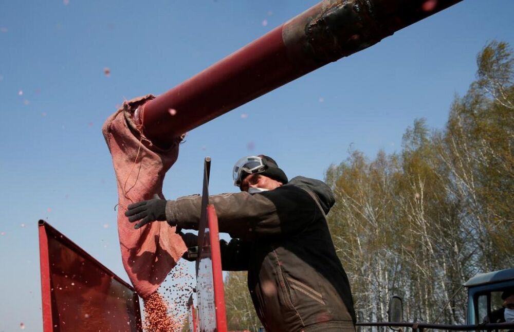 Украина призвала ЕС оказать помощь с проведением посевной кампании весной