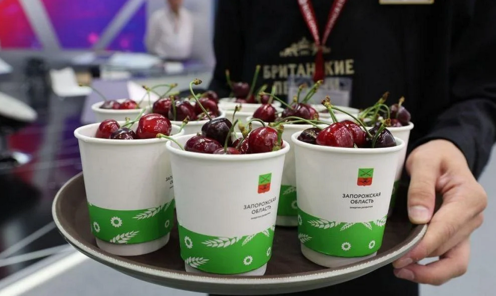 На путінському форумі в Санкт-Петербурзі пригощали вкраденою в Україні черешнею