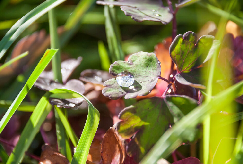 Не время прятать зонтики: прогноз погоды в Украине