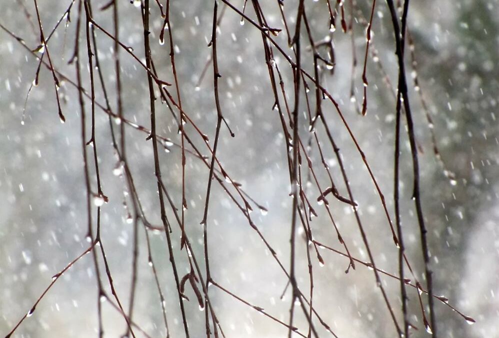 Погода 4 січня: де в Україні підуть дощі